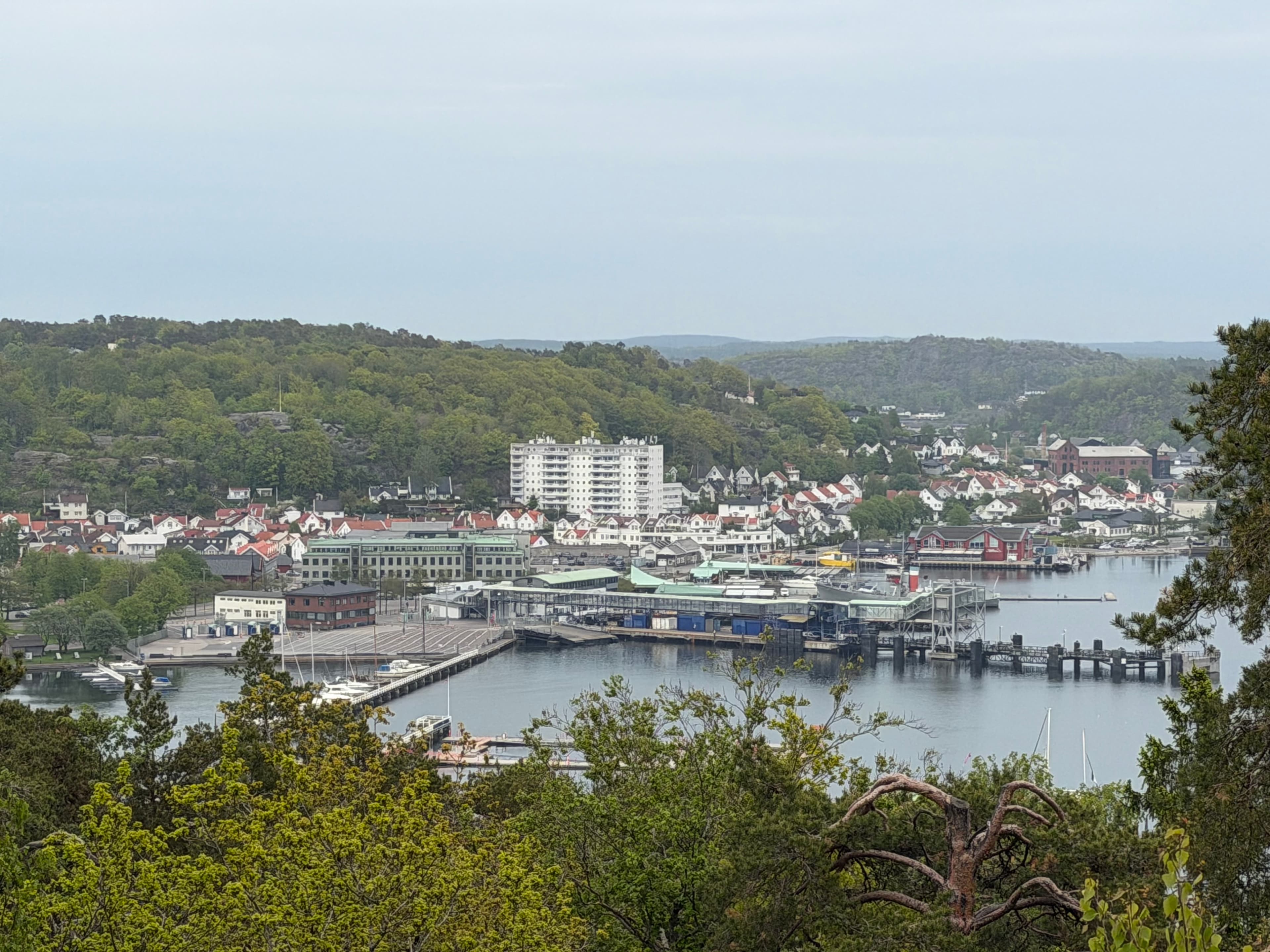 Wide view over Sandefjord city centre and harbour from Hjertnesskogen