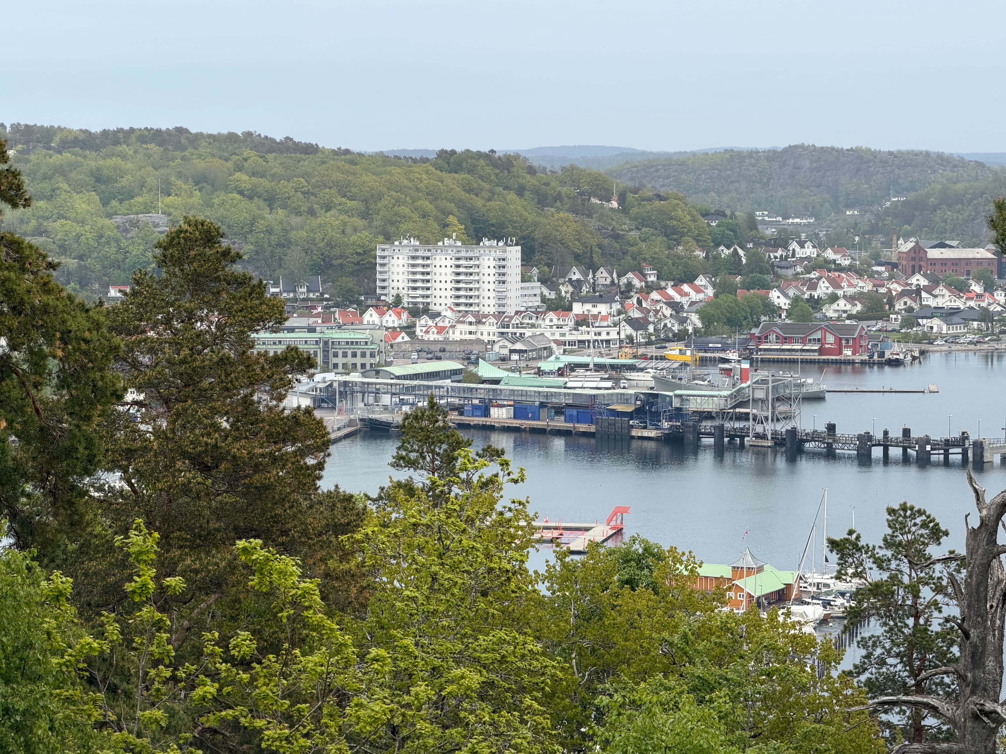 Sandefjord harbour and ferry terminal seen from Hjertnesskogen